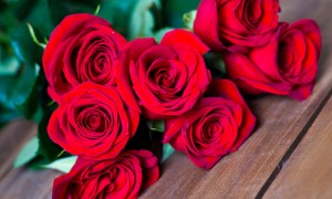 ef_175155500_edit1000px
