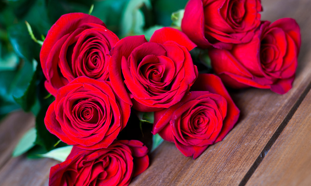 A Rosa